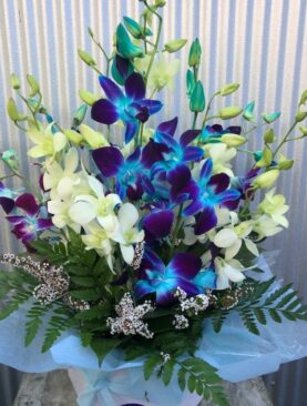 White Blue Orchids