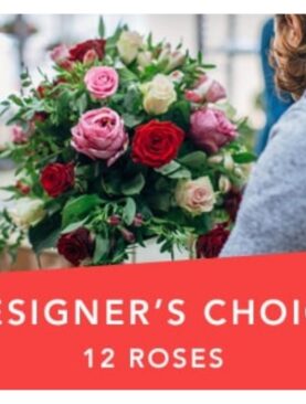 Designer's Choice 12 roses