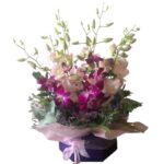 Singapore Orchids Box
